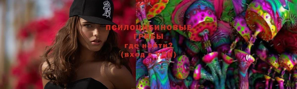соль ск Каменск-Шахтинский